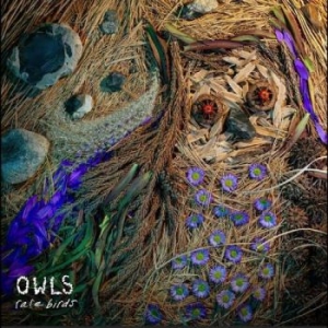 Owls - Rare Birds in der Gruppe VINYL / Pop-Rock bei Bengans Skivbutik AB (5656762)