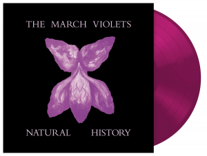 The March Violets - Natural History (Violet Vinyl Lp) Rsd 2026 in der Gruppe UNSERE TIPPS / Record Store Day / RSD 2026 bei Bengans Skivbutik AB (5656901)