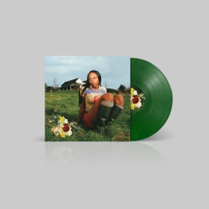 Rachel Chinouriri - Little House in der Gruppe UNSERE TIPPS / Record Store Day / RSD 2026 bei Bengans Skivbutik AB (5656950)