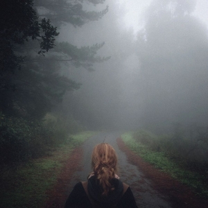 Mono - Under The Pipal Tree (25Th Annivers in der Gruppe UNSERE TIPPS / Freitagsveröffentlichungen / 2026-03-27 bei Bengans Skivbutik AB (5657391)