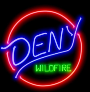 Deny - Wildfire (Vinyl Lp) in der Gruppe UNSERE TIPPS / Freitagsveröffentlichungen / 2026-02-27 bei Bengans Skivbutik AB (5658098)