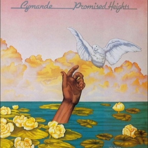 Cymande - Promised Heights in der Gruppe VINYL / Kommande / Pop-Rock,RnB-Soul bei Bengans Skivbutik AB (5658295)