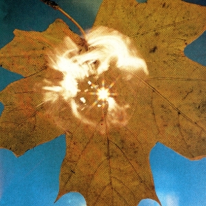 Soyuz - Force Of The Wind in der Gruppe VINYL / Jazz bei Bengans Skivbutik AB (5658442)