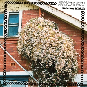 Surprise Chef - Daylight Savings in der Gruppe VINYL / Jazz bei Bengans Skivbutik AB (5658443)