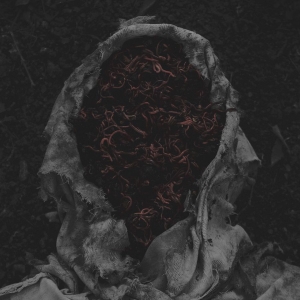 Gorrch - Stillamentum (Vinyl Lp) in der Gruppe UNSERE TIPPS / Freitagsveröffentlichungen / 2026-03-13 bei Bengans Skivbutik AB (5658632)