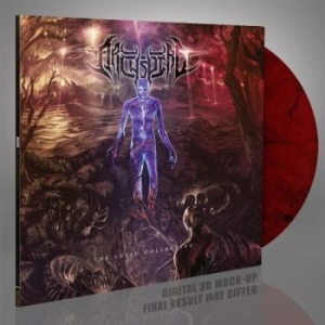 Archspire - Lucid Collective (Transparent Red/B in der Gruppe VINYL / Nyheter / Hårdrock bei Bengans Skivbutik AB (5659071)