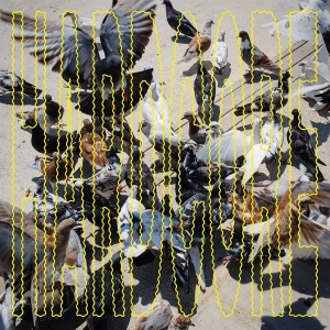 Salo - Hardcore in der Gruppe VINYL / Kommande / Pop-Rock bei Bengans Skivbutik AB (5659178)