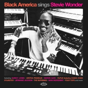 Various Artists - Black America Sings Stevie Wonder in der Gruppe CD / Kommande / Pop-Rock bei Bengans Skivbutik AB (5659580)