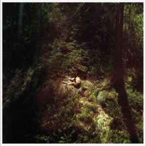 Will Samson - Sings Again in der Gruppe VINYL / Kommande / Pop-Rock bei Bengans Skivbutik AB (5659620)