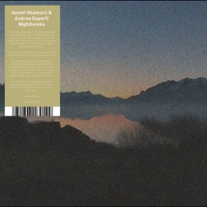 Azumi Okaruma & Andrea Esperti - Nighthawks in der Gruppe VINYL / Kommande / Pop-Rock bei Bengans Skivbutik AB (5659659)