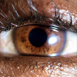 Evadney - It?S Dreaming in der Gruppe VINYL / Kommande / Pop-Rock bei Bengans Skivbutik AB (5659668)