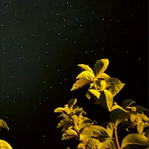 Thomas Peter - Changing Bodies in der Gruppe UNSERE TIPPS / Freitagsveröffentlichungen / 2026-03-13 bei Bengans Skivbutik AB (5660027)