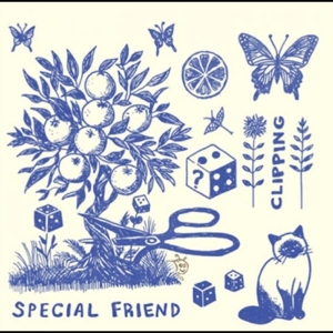 Special Friend - Clipping in der Gruppe VINYL / Kommande / Pop-Rock bei Bengans Skivbutik AB (5660036)