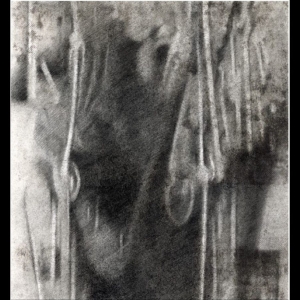 33 - Tripolar in der Gruppe UNSERE TIPPS / Freitagsveröffentlichungen / 2026-03-27 bei Bengans Skivbutik AB (5660037)