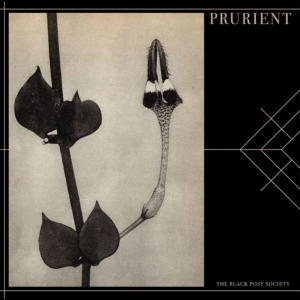 Prurient - The Black Post Society in der Gruppe UNSERE TIPPS / Startsida - CD Nyheter & Kommande bei Bengans Skivbutik AB (5660076)