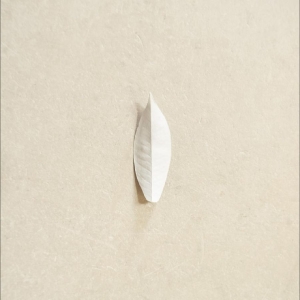 Sylvain Chauveau - The Complexity Of The Simple in der Gruppe VINYL / Kommande / Pop-Rock bei Bengans Skivbutik AB (5662608)