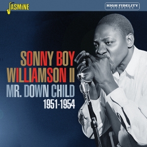 Williamson - Mr. Down Child in der Gruppe UNSERE TIPPS / Freitagsveröffentlichungen / 2026-03-13 bei Bengans Skivbutik AB (5662656)