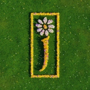 James - Nothing But Love - The Definitive Best Of in der Gruppe VINYL / Pop-Rock bei Bengans Skivbutik AB (5662812)