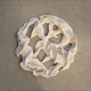 Hiraki X Meejah - Interwoven in der Gruppe UNSERE TIPPS / Freitagsveröffentlichungen / 2026-03-13 bei Bengans Skivbutik AB (5662861)