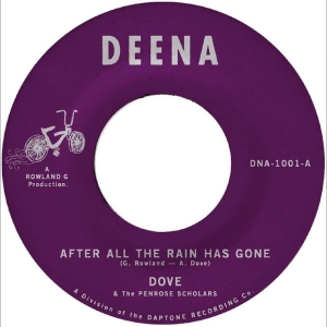 Dove - After All The Rain Has Gone B/W Gri in der Gruppe VINYL / Pop-Rock bei Bengans Skivbutik AB (5663072)