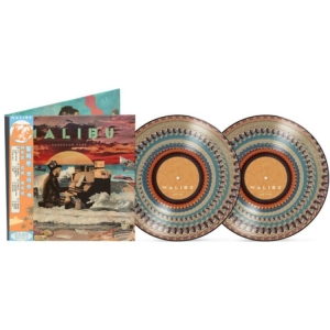 Anderson .Paak - Malibu (10 Year Anniversary Zoetrope 2LP) in der Gruppe VINYL / Kommande / Pop-Rock,RnB-Soul bei Bengans Skivbutik AB (5663354)