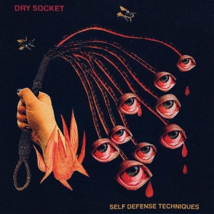 Dry Socket - Self Defense Techniques (2-Color Ga in der Gruppe VINYL / Kommande / Pop-Rock bei Bengans Skivbutik AB (5663378)
