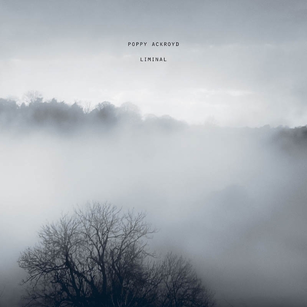 Poppy Ackroyd - Liminal in der Gruppe UNSERE TIPPS / Freitagsveröffentlichungen / 2026-06-05 bei Bengans Skivbutik AB (5663670)