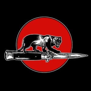 Jim Jones All Stars - Cat Fight in der Gruppe CD / Kommande / Pop-Rock bei Bengans Skivbutik AB (5664135)