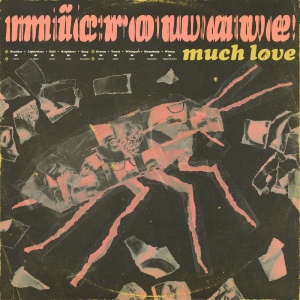 Microwave - Much Love (10 Year Anniversary Edit in der Gruppe VINYL / Kommande / Pop-Rock bei Bengans Skivbutik AB (5664294)
