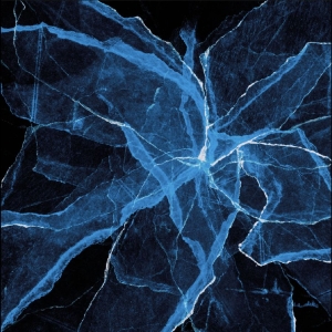 Jason Moran - Shards in der Gruppe CD / Kommande / Jazz bei Bengans Skivbutik AB (5664329)