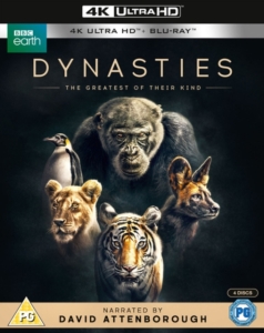Movie - Dynasties in der Gruppe Film / Film UHD-4K bei Bengans Skivbutik AB (5664404)