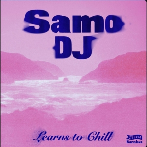 Samo Dj - Learns To Chill in der Gruppe VINYL / Kommande / Pop-Rock bei Bengans Skivbutik AB (5664645)