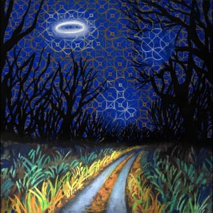 Toodles & The Hectic Pity - Every Night Is A Beautiful Night in der Gruppe UNSERE TIPPS / Freitagsveröffentlichungen / 2026-03-20 bei Bengans Skivbutik AB (5664945)