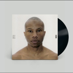 Tygapaw - Together You Gather All Power Appli in der Gruppe VINYL / Kommande / Pop-Rock bei Bengans Skivbutik AB (5665015)