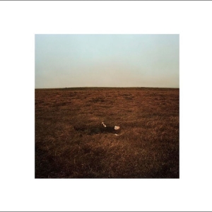 Fink - The City Coming To Erase It All in der Gruppe VINYL / Kommande / Pop-Rock bei Bengans Skivbutik AB (5665250)