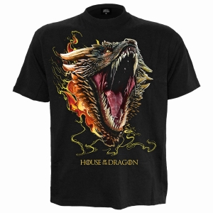 House Of The Dragon - Drogon - T-Shirt in der Gruppe MERCHANDISE / T-shirt / Nyheter /  bei Bengans Skivbutik AB (5666020r)