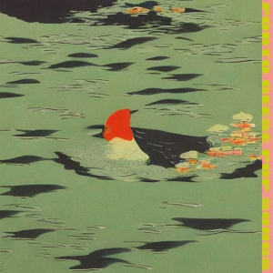 Porto Geese - Pop Songs (Vinyl Lp) in der Gruppe VINYL / Kommande / Pop-Rock bei Bengans Skivbutik AB (5666126)