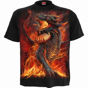 Spiral - Draconis - T-Shirt in der Gruppe MERCHANDISE / T-shirt / Nyheter / Övrigt bei Bengans Skivbutik AB (5667027r)