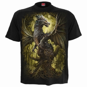 Spiral - Oak Dragon - T-Shirt in der Gruppe MERCHANDISE / T-shirt / Nyheter / Övrigt bei Bengans Skivbutik AB (5667038r)