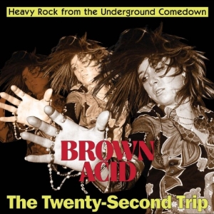 Various Artists - Brown Acid - The Twenty-Second Trip in der Gruppe VINYL / Kommande / Pop-Rock bei Bengans Skivbutik AB (5667436)