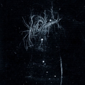 My Heart An Inverted Flame - My Death Is More Beautiful Than You in der Gruppe CD / Kommande / Pop-Rock bei Bengans Skivbutik AB (5667453)