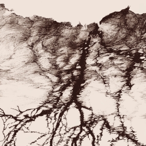 Ylva Ceder - Tree Vibrations in der Gruppe VINYL / Nyheter / Svensk Musik bei Bengans Skivbutik AB (5667832)