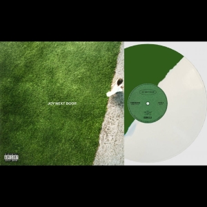 The Maine - Joy Next Door in der Gruppe VINYL / Kommande / Pop-Rock bei Bengans Skivbutik AB (5667897)