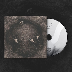 Pure Wrath - Bleak Days Ahead (Digipack) in der Gruppe CD / Kommande / Hårdrock bei Bengans Skivbutik AB (5667909)