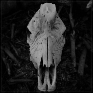 Worsen - Cursed To Witness Life (Vinyl Lp) in der Gruppe VINYL / Nyheter / Hårdrock bei Bengans Skivbutik AB (5668028)