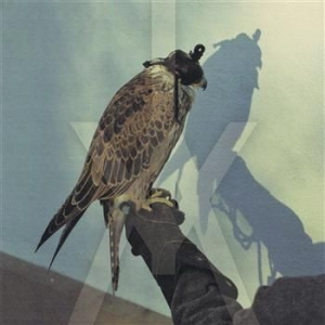 Iceage - You're Nothing in der Gruppe CD / Rock bei Bengans Skivbutik AB (566808)