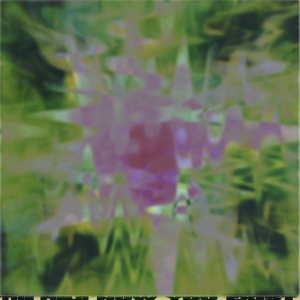 The Field - Now You Exist in der Gruppe VINYL / Kommande / Pop-Rock bei Bengans Skivbutik AB (5668284)