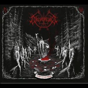 Drudensang - Verborgene Riten in der Gruppe CD / Kommande / Hårdrock bei Bengans Skivbutik AB (5668336)