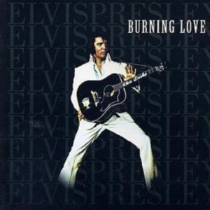 Elvis Presley - Burning Love in der Gruppe CD / Pop-Rock bei Bengans Skivbutik AB (5668837)