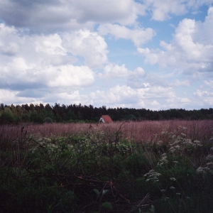 Tiner Kris & Cathlene Pineda - Sung in der Gruppe VINYL / Kommande / Jazz bei Bengans Skivbutik AB (5669127)